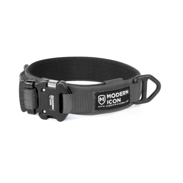 Modern Icon 1.5'' Rigid Collar - Image 3