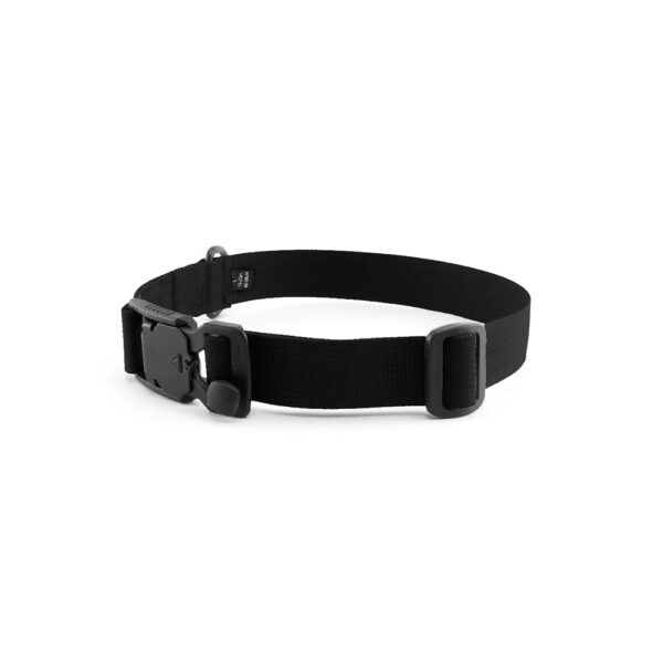 Modern Icon 1" Summit Collar - Image 2
