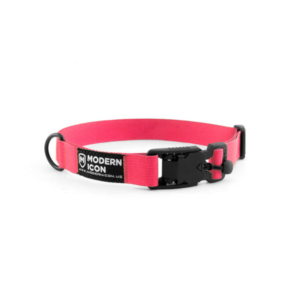 Modern Icon 1" Summit Collar - Image 10