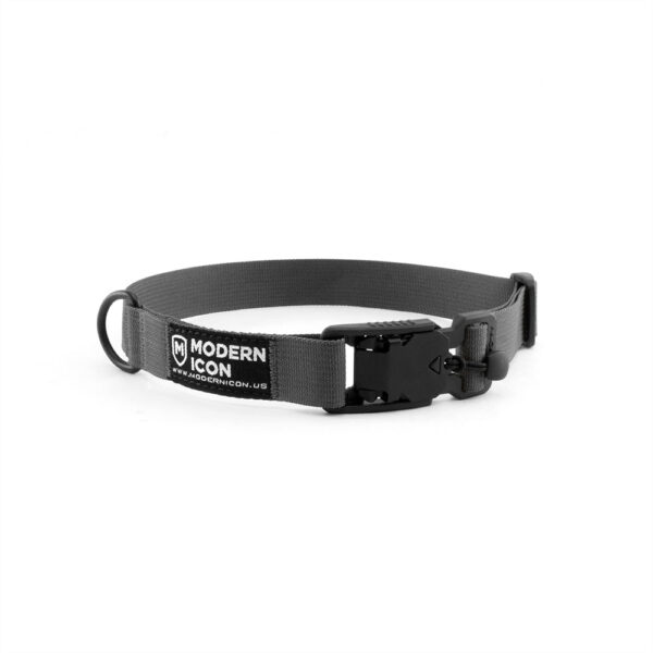 Modern Icon 1" Summit Collar - Image 7