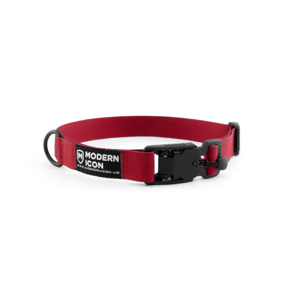 Modern Icon 1" Summit Collar - Image 11