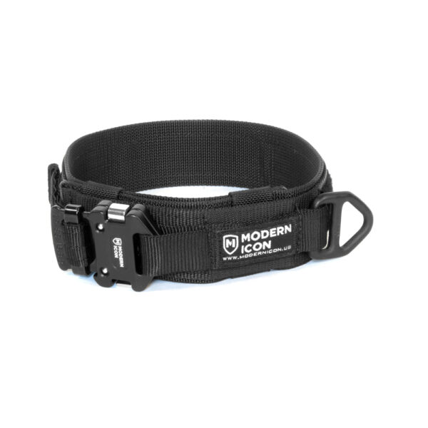 Modern Icon 2'' Rigid collar