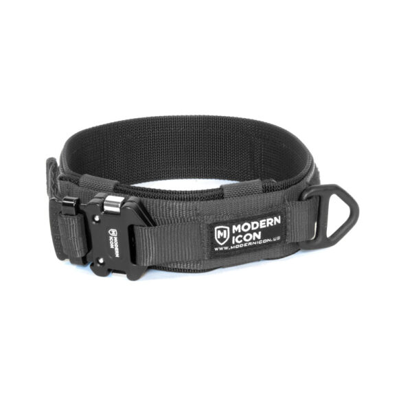 Modern Icon 2'' Rigid collar - Image 3