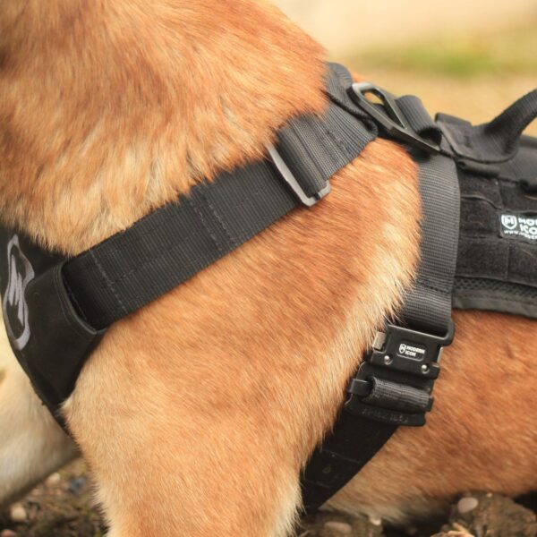 Modern Icon Patrol Harness - Image 7