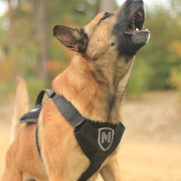 Modern Icon Patrol Harness - Image 8