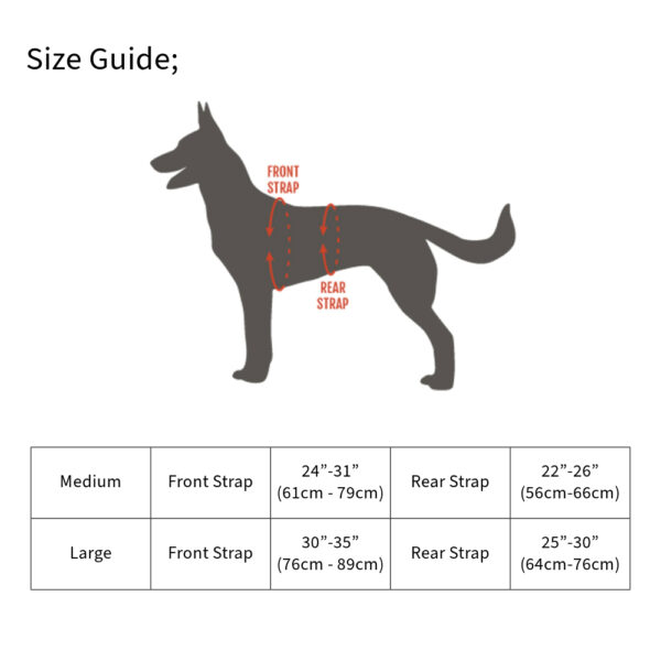 Modern Icon Tracking Harness - Image 6