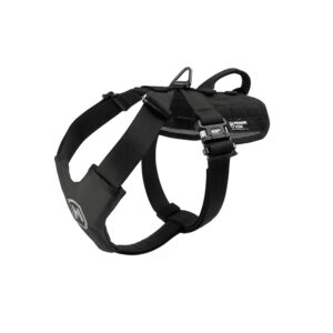 Modern Icon Patrol Harness