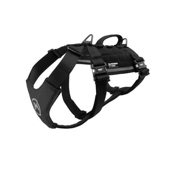Modern Icon Tracking Harness